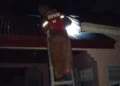 Petugas saat mengevakuasi sarang tawon di Tarusan