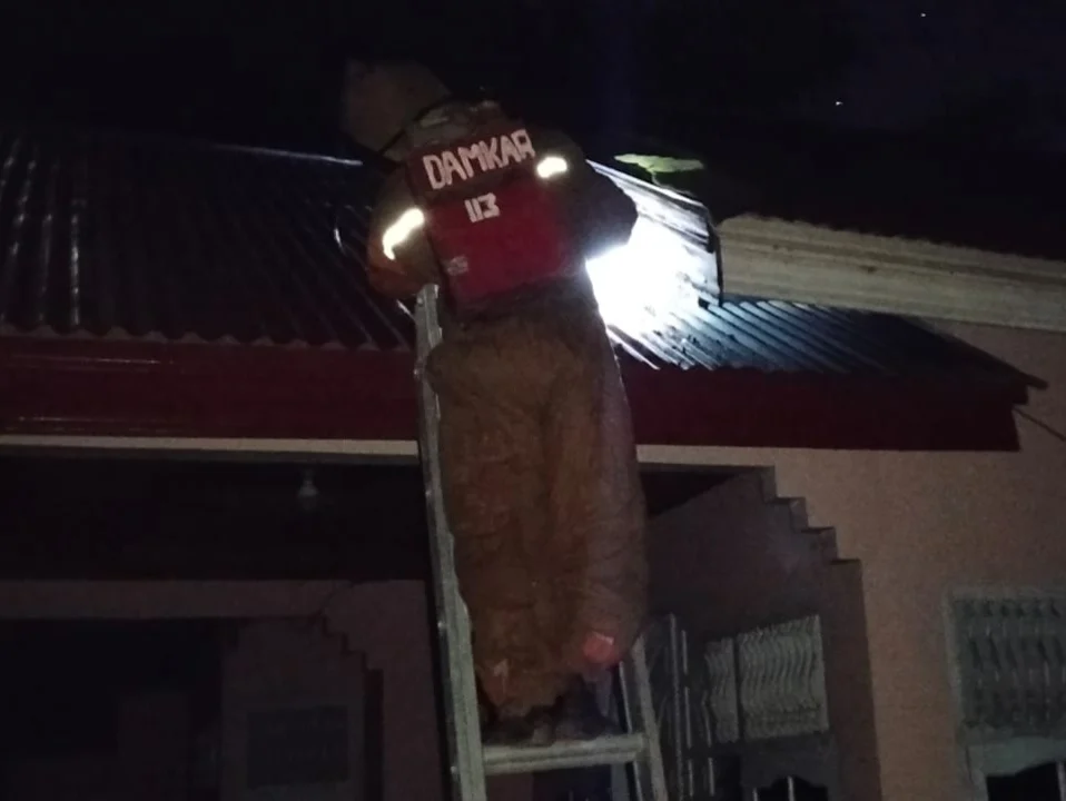 Dalam Satu Malam, Damkar Pessel Taklukkan Sarang Tawon dan Ular di Tarusan