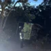 Truk Batu Bara Terbalik di Jalur Padang-Solok Saat Parkir