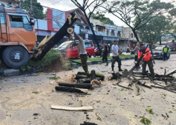 Kondisi jalan Padang-Solok di Lubuk Kilangan usai pohon ditabrak truk, Kamis (11/6/2026), pagi.