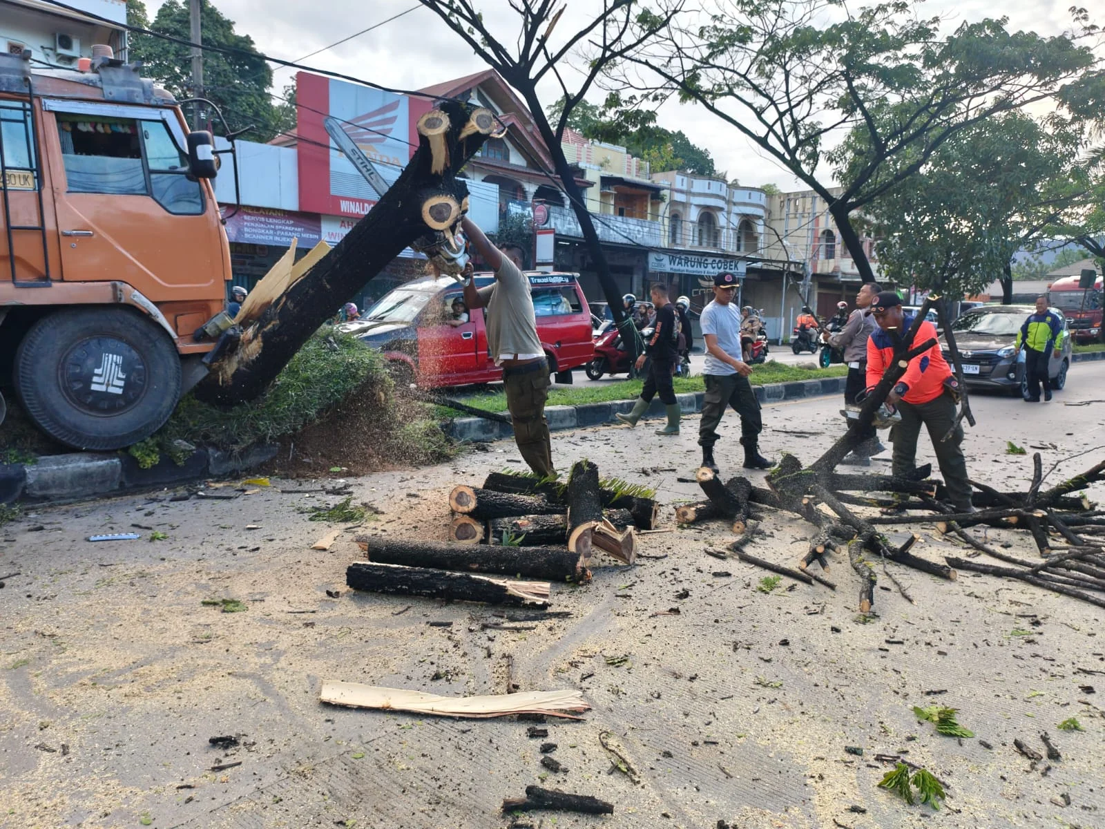 Diduga Sopir Mengantuk, Truk Tabrak Pohon Trembesi hingga Tumbang di Lubuk Kilangan Padang