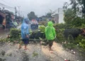 Pohon tumbang di Lubuk Minturun Padang, Minggu (14/6/2026), sore.
