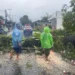 Pohon tumbang di Lubuk Minturun Padang, Minggu (14/6/2026), sore.