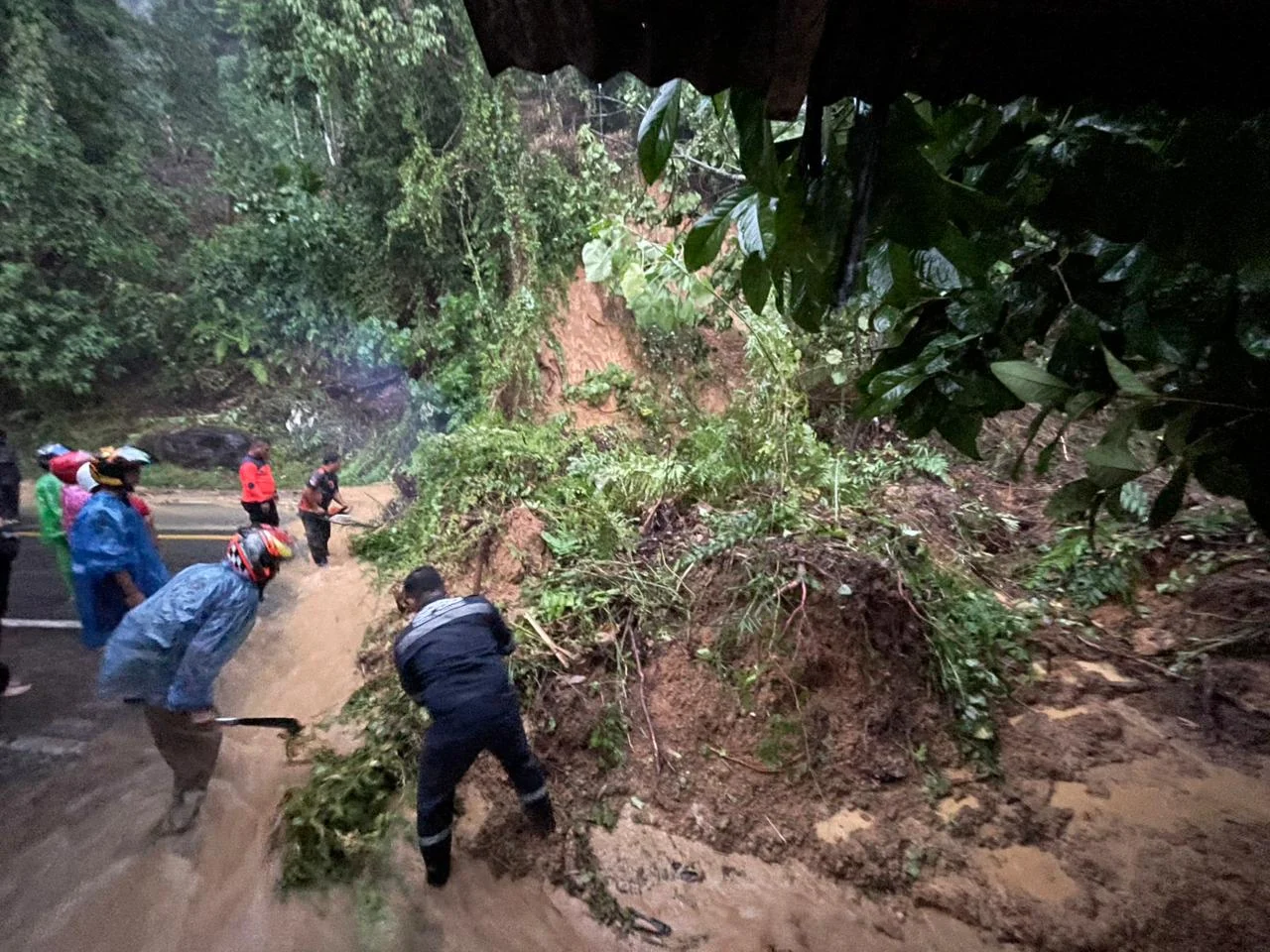 Longsor dan Pohon Tumbang Lumpuhkan Jalur Padang-Painan, Satu Warga Selamat