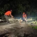 Pohon tumbang timpa akses warga di jalan Sungai Pisang