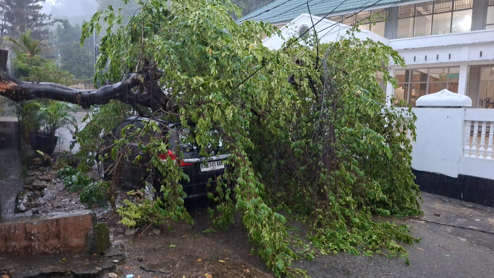 Hujan Badai Picu Pohon Tumbang, Timpa Mobil di Padang