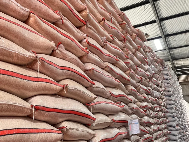 Stok beras di Perum Bulog Sumbar