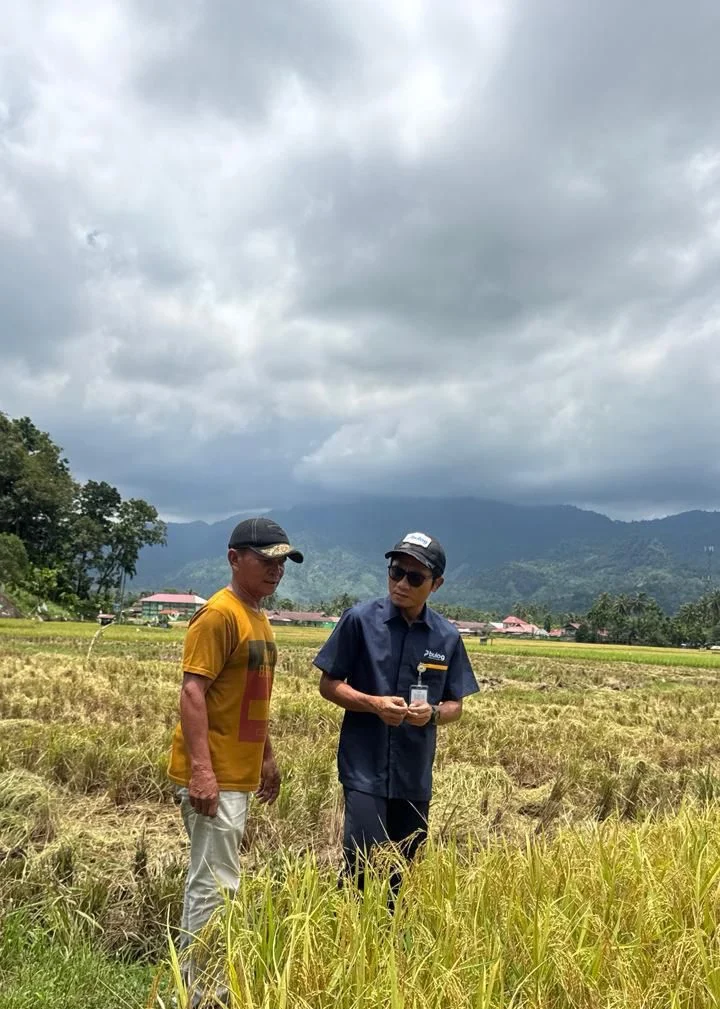BULOG Tembus 3 Juta Ton Serapan Gabah-Beras Petani, Rekor Baru Penguatan Cadangan Pangan Nasional