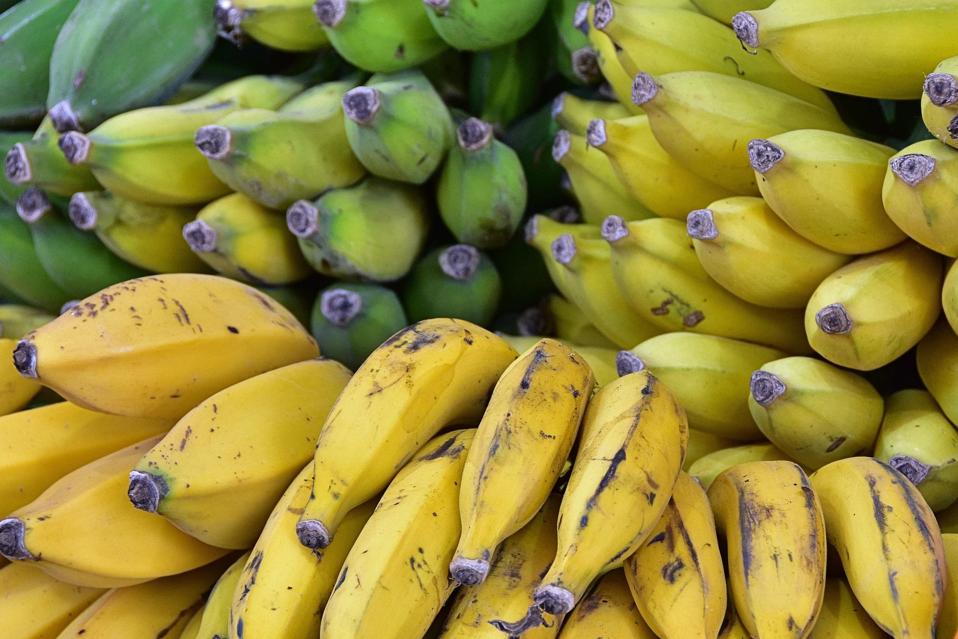 Empat Makanan Ini Baik untuk Menjaga Kesehatan Pencernaan
