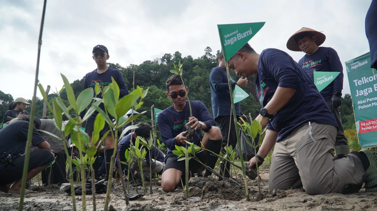 Telkomsel Jaga Bumi Movement Tanam 3000 Pohon Mangrove di Pesisir Selatan
