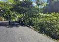 Lokasi Ayla Masuk Jurang di Jalan Padang-Bukittinggi, Rabu (1/7/2026)