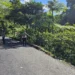 Lokasi Ayla Masuk Jurang di Jalan Padang-Bukittinggi, Rabu (1/7/2026)