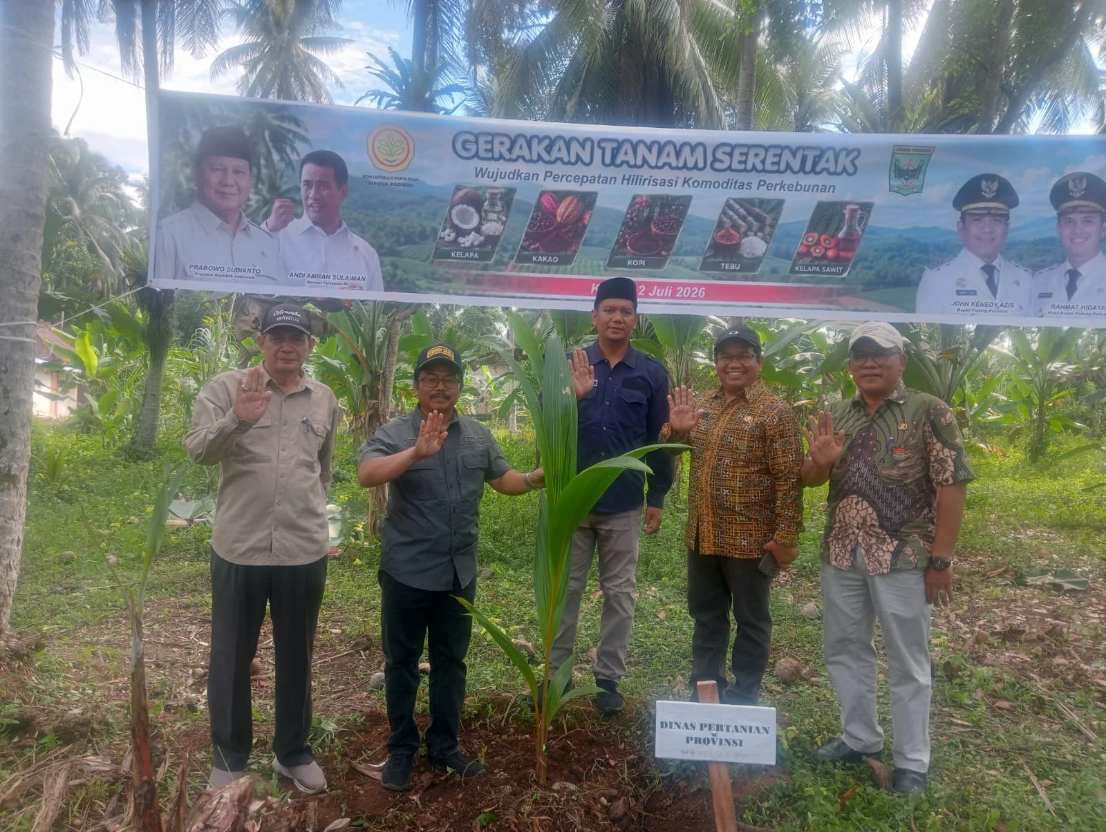 Gerakan Tanam Serentak Kelapa Dorong Hilirisasi, Disbuntanhor Sumbar Terima Alokasi Peremajaan 3.800 Hektare