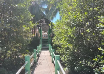 Konservasi Penyu Amping Parak Pessel