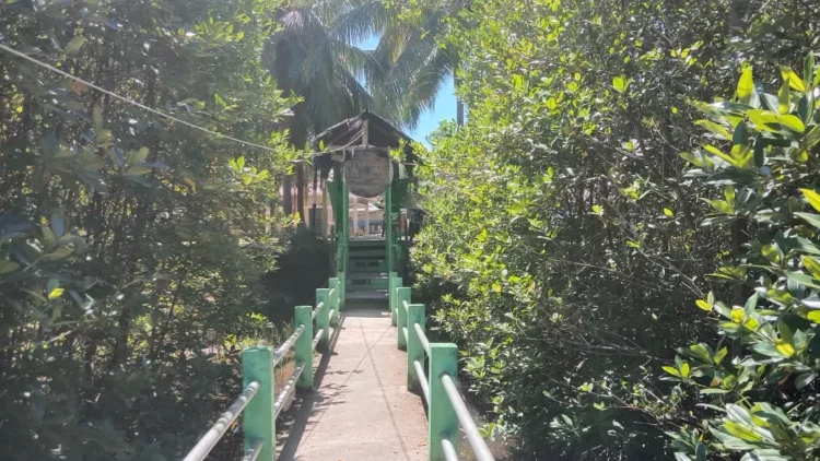 Konservasi Penyu Amping Parak Pessel