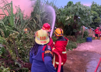 Lahan Terbakar: Api Merembet ke Rumah di Dadok Tunggul Hitam, Koto Tangah, Jumat (24/7/2026)