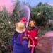 Lahan Terbakar: Api Merembet ke Rumah di Dadok Tunggul Hitam, Koto Tangah, Jumat (24/7/2026)