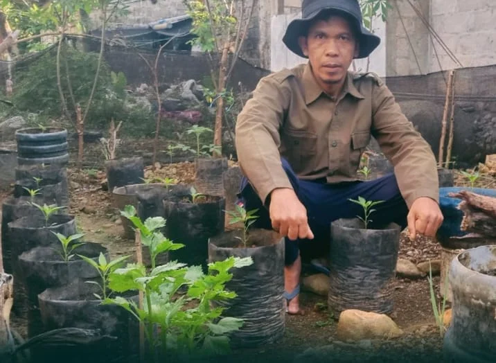 Jejak Seorang Jurnalis Menyemai Kemandirian Pangan di Pekarangan Rumah