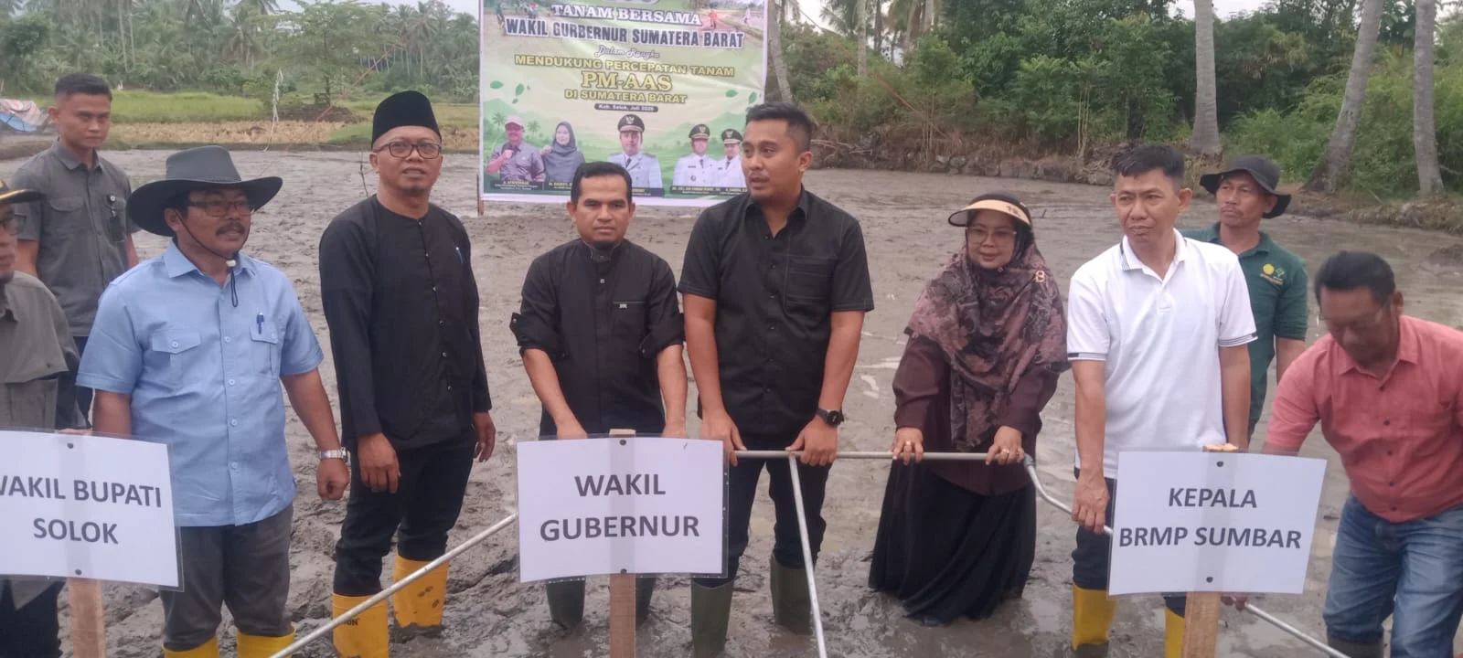 Genjot Produktivitas Padi, Sumbar Mulai Terapkan Pola Pertanian Modern PM-AAS di Kabupaten Solok