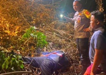 Korban saat ditemukan tertelungkup di tengah kebun karet, Selasa (21/7/2026)