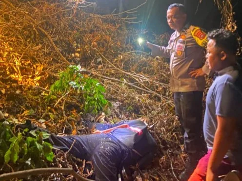 Seorang Pria di Pessel Ditemukan Tewas di Kebun Karet, Diduga Kecelakaan saat Menebang Pohon