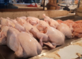 Ayam Potong (net)