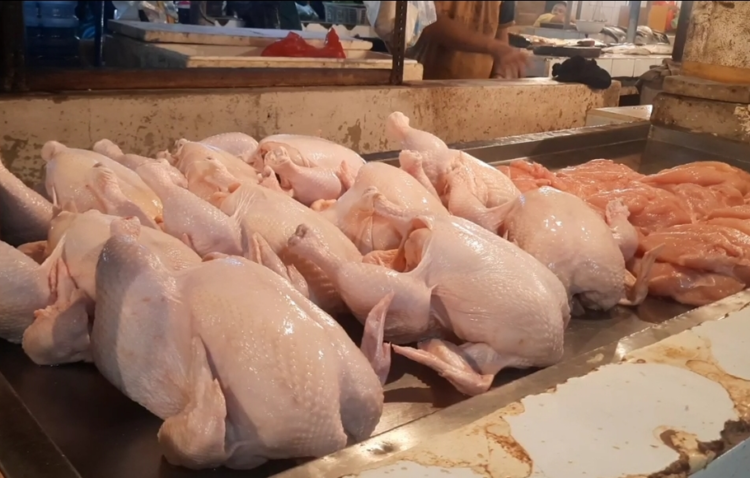 Ayam Potong (net)