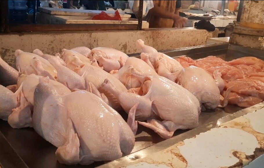 Harga Ayam Potong Tembus Rp 50 Ribu per Kg di Padang, Stok Dipastikan Masih Aman