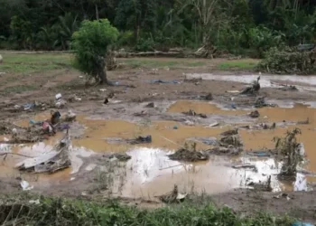 Lahan sawah terdampak banjir