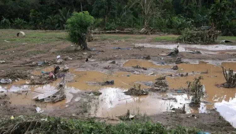 Lahan sawah terdampak banjir