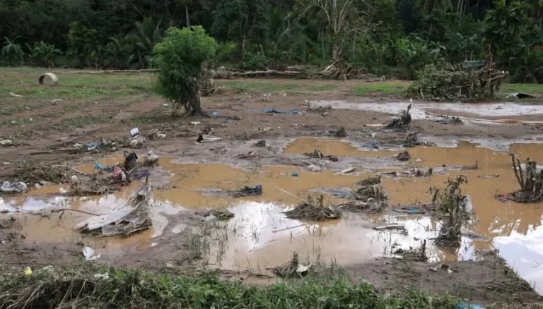 Banjir Rusak Lagi 30 Hektare Sawah Rehabilitasi di Padang