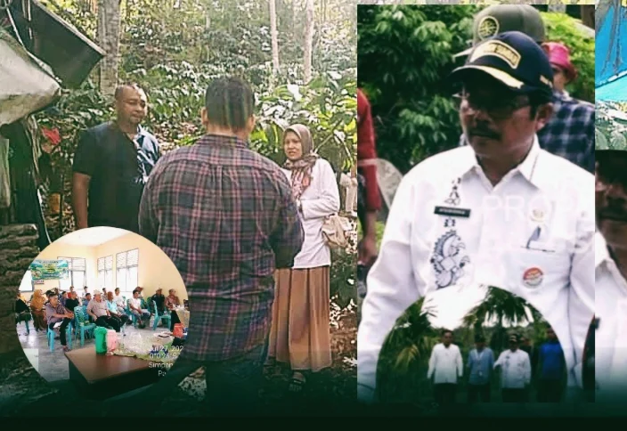 Sekolah Lapang Hilirisasi Kopi Jadi Strategi Pemulihan Ekonomi Petani Sumbar Pascabencana