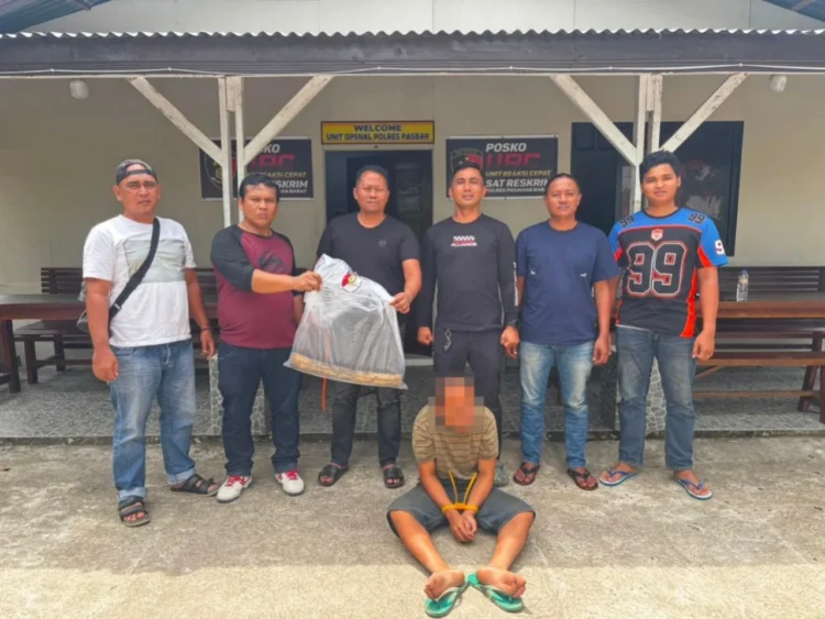 Tersangka saat diamankan Tim Polres Pasbar