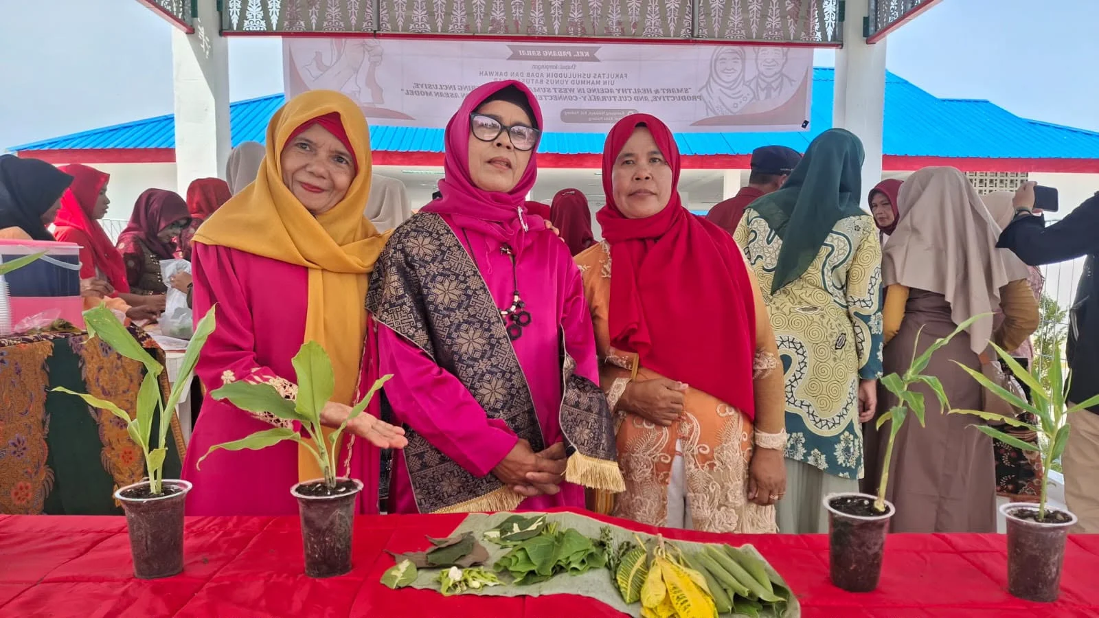 Kolaborasi Dua Kampus UIN: Perkuat Pemberdayaan Lansia di Padang Sarai, dari Senam hingga Literasi Digital