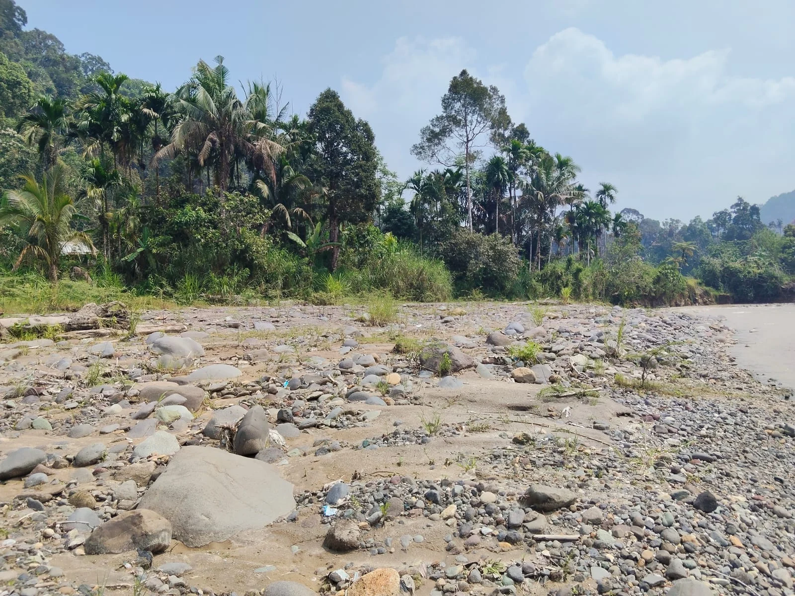 Selamatkan DAS Sianok, Warga Diajak Adopsi dan Rawat Pohon di Kawasan Hulu