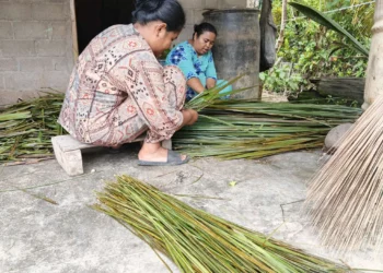 Ibu-ibu Ganting Kubang, Kambang Utara, Pessel meraut lidi sawit (Katasumbar/Klikpositif)