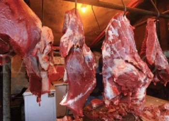 Daging sapi (net)
