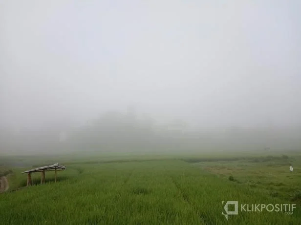 IQAir Catat Udara Payakumbuh dan Batusangkar Tidak Sehat, Padang-Bukittinggi Masuk Kategori Sensitif