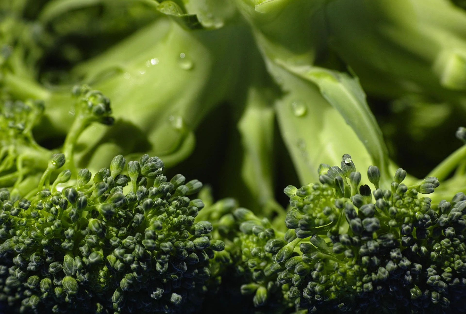 Sayuran ‘Cruciferous’ Berpotensi Lebih Efektif Menurunkan Tekanan Darah Dibanding Kentang