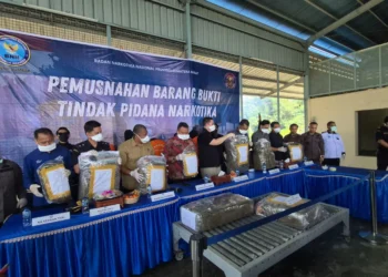 Pemusnahan BB Kasus Narkoba BBNP Sumbar, Kamis (24/9/2026)
