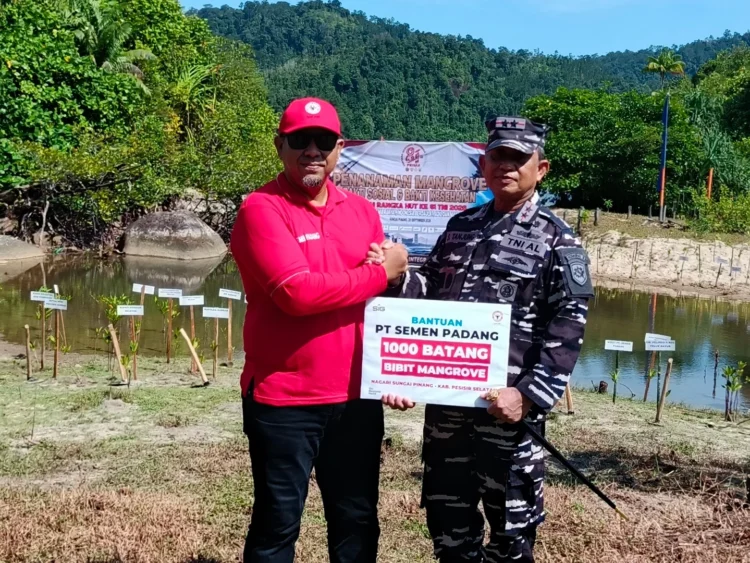 Investasi Ekologis untuk Nelayan: PT Semen Padang Bersama Kodaeral II Hadirkan 1.000 Mangrove di Pantai Manjuto