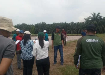 Sidang Lapangan gugatan AJPLH terhadap PT Incasi Raya Sodetan, Jumat (19/9/2026).