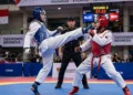 Taekwondo