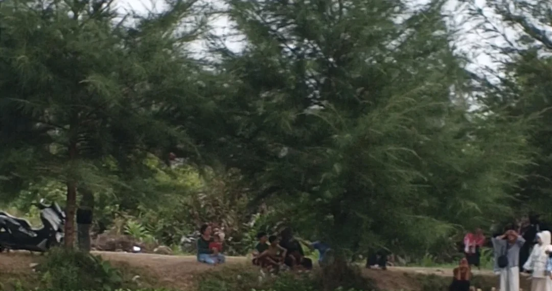 Taman Eceng Gondok Viral, di Pasir Jambak, Kota Padang